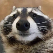 Igao - Youtube Profile Picture of Igao (@iguengo2425) on Youtube