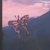 Profile Picture of jean kelly288 (@@taktookbaba) on Tiktok