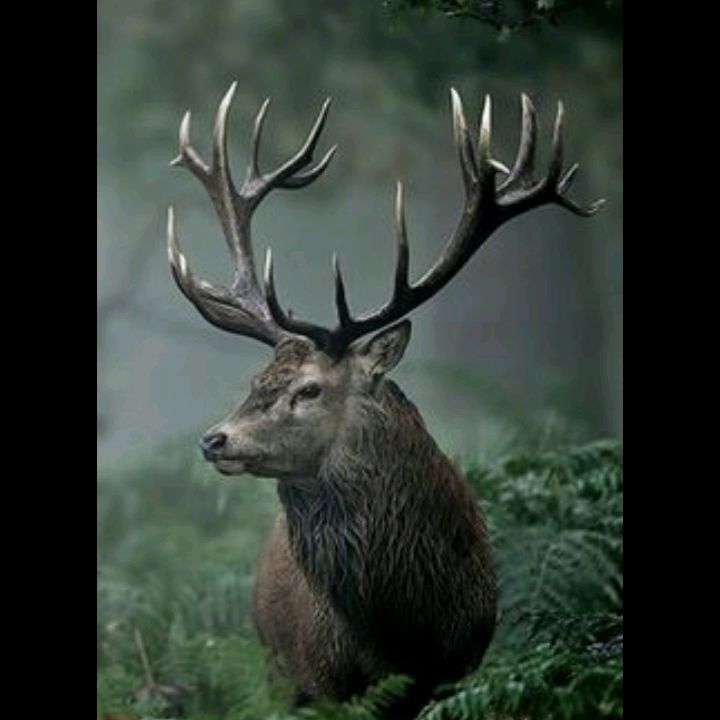 Profile Picture of user1195103416013 (@jonathanburon) on Tiktok