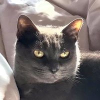 Profile Picture of Nora Mitchell (@nora-mitchell-20) on Quora
