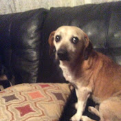 Profile Picture of Hunter Huffines (@hunterhuffines1601) on Youtube