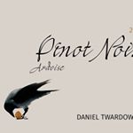 Profile Picture of Daniel Twardowski, Pinot Noix (@pinot_noix) on Instagram