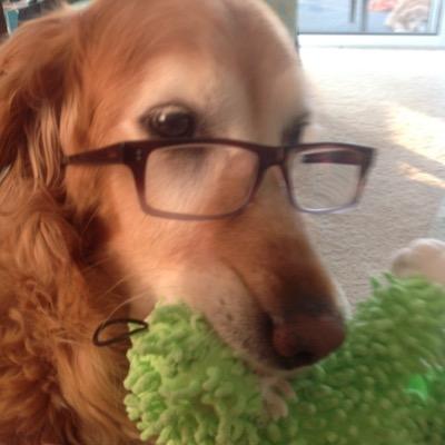 Profile Picture of Gene Steinberg (@gene1106) on Twitter