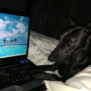 Profile Picture of Tim Cullen (@timjcullen) on Myspace