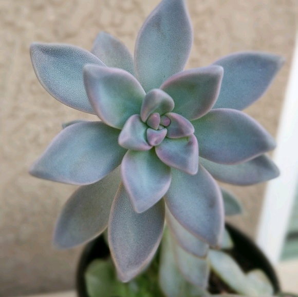 Profile Picture of Savannah Perry (@savisaviperry) on Poshmark