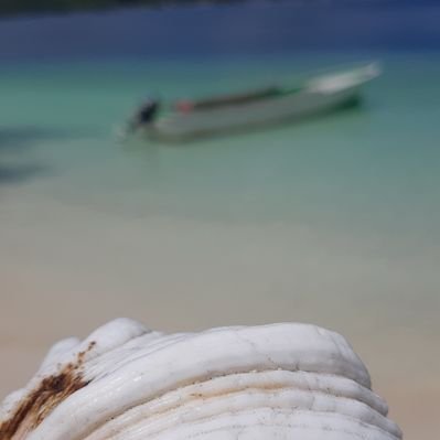 Profile Picture of Oktavian (@oktav_lutchi) on Twitter