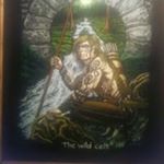 Profile Picture of Andrew Boniface (@andyspin61) on Instagram