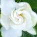 Profile Picture of Caryn Day Wallace (@caryndaywallace) on Pinterest