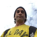 Profile Picture of Vincent Orlando (@labordoddle) on Instagram