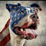 Profile Picture of Marc Cesario (@marc.cesario.58) on Instagram