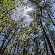 Daniel Pesavento - Youtube Profile Picture of Daniel Pesavento (@danofthebass) on Youtube