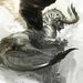 Profile Picture of Joshua K (@joelraj0324) on Pinterest