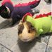 Profile Picture of Nicholas Peddie (@nicholas.peddie.56) on Facebook