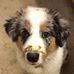 Profile Picture of Gary Warrick (@gary.warrick.3705) on Facebook