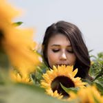 Profile Picture of Amanda Reid (@amandareidphotography) on Instagram