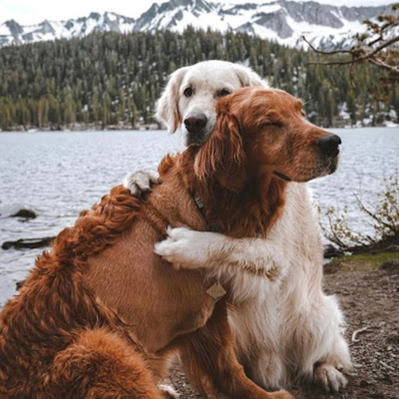 Profile Picture of Nathanial Smith (@nathanial430) on Poshmark