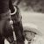 Profile Picture of Holly Chapin Gordon (@chapingordon) on Pinterest