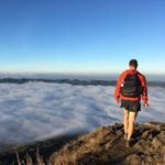 Profile Picture of BW (@bobthebushman) on Instagram