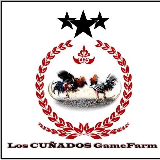 Profile Picture of   Mario Laurel (@mariolaurel)... (@mariolaurel) on Tiktok