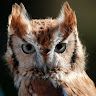 Profile Picture of James DeCola (@jamesdecola) on Pinterest