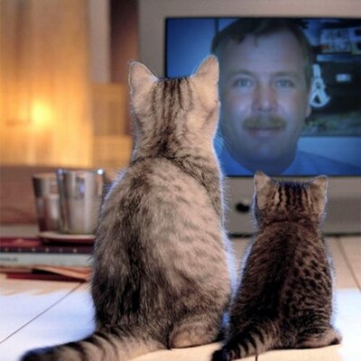 Profile Picture of Paul Crusher Berens (@vccrusher) on Twitter