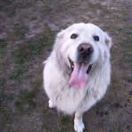 Profile Picture of Felix Jankowski (@felix.jankowski.58) on Facebook