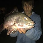 Profile Picture of Curtis Peterson (@curtis__peterson) on Instagram