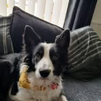 Profile Picture of Harrison Blakemore (@Harrison-Blakemore) on Facebook