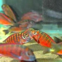 Profile Picture of Nate Lutz (@nate-lutz-5) on Quora