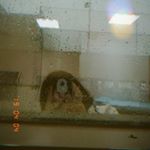 Profile Picture of Bạc Hà (@an.hien.trinh) on Instagram