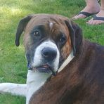 Profile Picture of Kelly Vander Ploeg (@Kelly-Vander-Ploeg) on Facebook