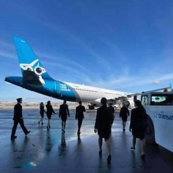 Sophie Ducasse - Poshmark Profile Picture of Sophie Ducasse (@samtilou1) on Poshmark