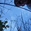 Profile Picture of Joe Casper (@JoeyCasper) on Flickr