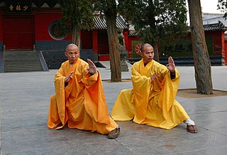 Profile Picture of Northern Shaolin (martial art) - Wikipedia, the free ...on Wikipedia