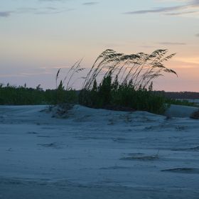 Profile Picture of Tricia Moore (@rtbtb) on Pinterest