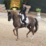 Profile Picture of Elena Fernandez (@elena_fernandez_dressage) on Instagram