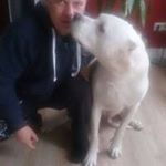 Profile Picture of Michael Hammermann (@michaelhammermann) on Instagram