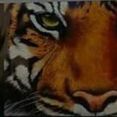 Profile Picture of Robert Stephenson (@rstephenrrtx) on Twitter