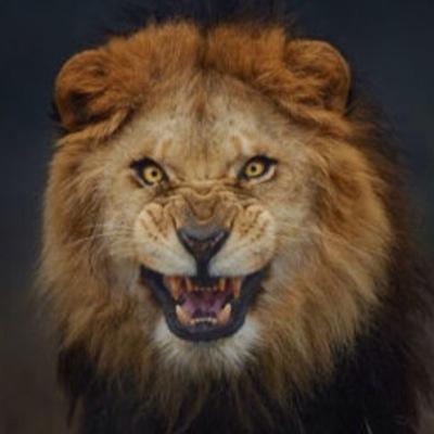 Profile Picture of Hardyal Singh (@Garyhd) on Twitter