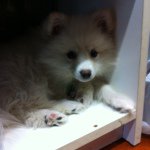 Profile Picture of Daniela Mineo (@zoe14111968) on Instagram