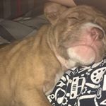 Profile Picture of Skylar (@skylar_neal13) on Instagram