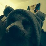 Profile Picture of Ivan Hughes (@hughesivan) on Instagram
