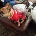 Profile Picture of William Scoggins (@william.scoggins.71) on Facebook