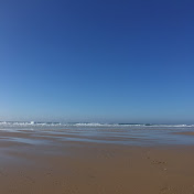 Profile Picture of Thomas Carey (@tomcez9752) on Youtube