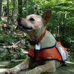 Profile Picture of Matt Razon (@matthewrazon) on Instagram