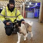 Profile Picture of Brian george (@briangeorge2055) on Instagram