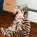 Profile Picture of Suzanne Settle (@suzanne.perkins.12382) on Facebook