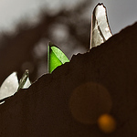 Profile Picture of Fabian Lober (@Me or someone Else) on Flickr