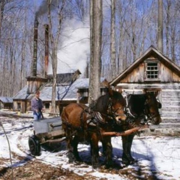 Profile Picture of Martin John (@ekwata) on Poshmark