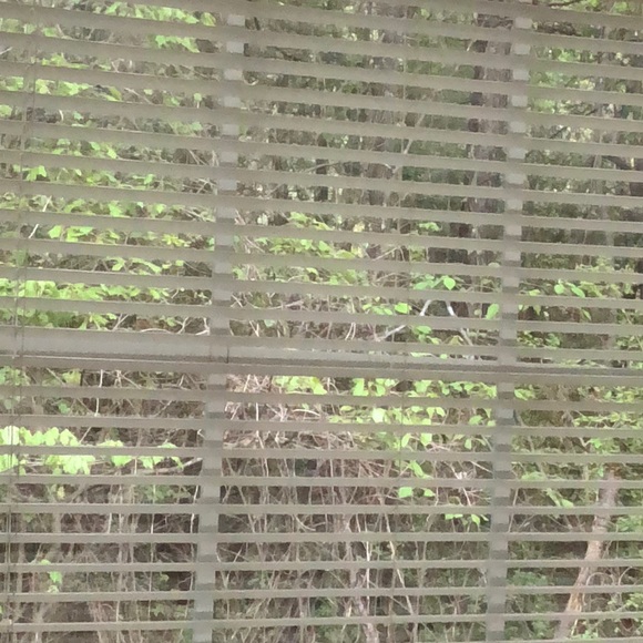 Profile Picture of Hamisi Chuma (@hamisijc) on Poshmark